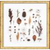 10x24 Gold Shadowbox Frame - Shadow Box Frame Interior Size 10x24 by 1.25 Inches Deep - Gold Frame Made to Display Items Up to 1.25 Inches Deep Includes Shatter Resistant Acrylic, Backing, Hardware view 4