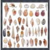 23x32 Black Shadowbox Frame - Shadow Box Frame Interior Size 23x32 by 2 Inches Deep - Black Frame is Made to Display Items Up to 1.75 Inches Deep Includes Shatter Resistant Acrylic, Backing, Hardware view 3