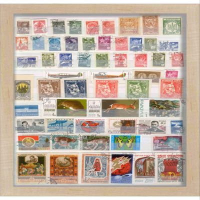 11x16 Natural Shadow Box Frame - Shadow Box Frame Interior Size 11x16 by 1 Inch Deep - Natural Frame is Made to Display Items Up to 1 Inch Deep! Includes Shatter Resistant Acrylic, Backing, Hardware
