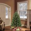 Pre-lit Full Northern Fir Artificial Christmas Tree - 4.5 - Clear Lights view 2