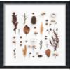 10x20 Shadow Box Contemporary Black 1" Deep | Interior Size 10x20 by 1 Inch Deep - This Black Frame is Made to Display Items Up to 1 Inch Deep Includes Shatter Resistant Acrylic, Backing, Hardware view 1