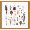 12x22 Gold Shadowbox Frame - Shadow Box Frame Interior Size 12x22 by 2.25 Inches Deep - Gold Frame Made to Display Items Up to 2.25 Inches Deep Includes Shatter Resistant Acrylic, Backing, Hardware view 1