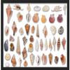 12x20 Black Shadowbox Frame - Shadow Box Frame Interior Size 12x20 by 2 Inches Deep - Black Frame is Made to Display Items Up to 1.75 Inches Deep Includes Shatter Resistant Acrylic, Backing, Hardware view 3