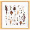 11x20 Gold Shadowbox Frame - Shadow Box Frame Interior Size 11x20 by 1.25 Inches Deep - Gold Frame Made to Display Items Up to 1.25 Inches Deep Includes Shatter Resistant Acrylic, Backing, Hardware view 4
