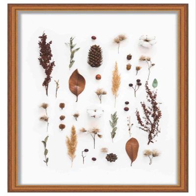 16x20 Traditional Gold 1" Deep Shadow Box Frame - Interior Size 16x20 by 1 Inch Deep - Made to Display Items Up to 1 Inch Deep Includes Shatter Resistant Acrylic Front, Backing, Hardware