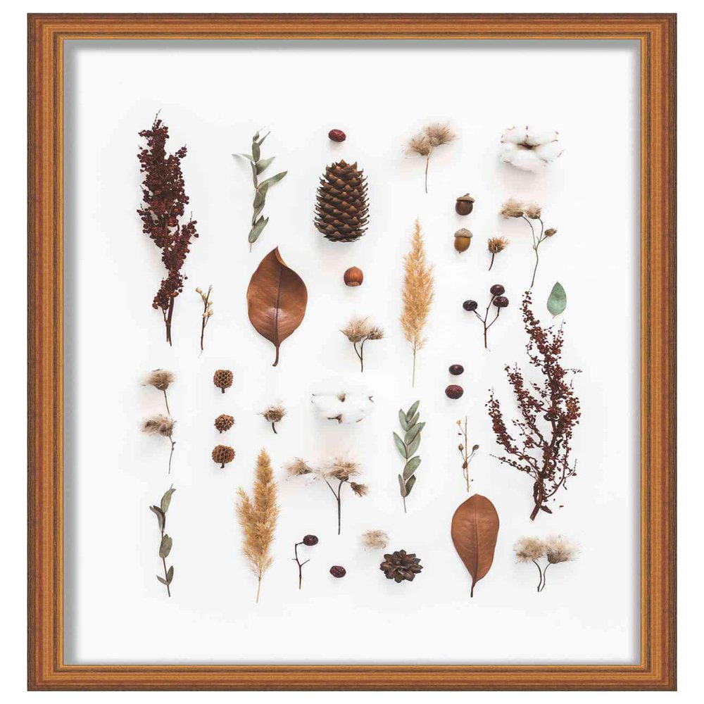 16x20 Traditional Gold 1" Deep Shadow Box Frame - Interior Size 16x20 by 1 Inch Deep - Made to Display Items Up to 1 Inch Deep Includes Shatter Resistant Acrylic Front, Backing, Hardware