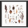 11x20 Black Shadowbox Frame - Shadow Box Frame Interior Size 11x20 x 1.25 Inches Deep - Black Frame Made to Display Items Up to 1.25 Inches Deep Includes Shatter Resistant Acrylic, Backing, Hardware view 1