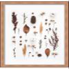 17x25 Gold Shadowbox Frame - Shadow Box Frame Interior Size 17x25 by 1.25 Inches Deep - Gold Frame Made to Display Items Up to 1.25 Inches Deep Includes Shatter Resistant Acrylic, Backing, Hardware view 4