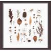 11x20 Walnut Shadowbox Frame - Shadow Box Frame Interior Size 11x20 x 1.5 Inches Deep - Walnut Frame Made to Display Items Up to 1.5 Inches Deep! Includes Shatter Resistant Acrylic, Backing, Hardware view 4