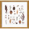12x20 Gold Shadowbox Frame - Shadow Box Frame Interior Size 12x20 by 1.5 Inches Deep - Gold Frame is Made to Display Items Up to 1.5 Inches Deep Includes Shatter Resistant Acrylic, Backing, Hardware view 4