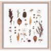 13x20 Silver Shadowbox Frame - Shadow Box Frame Interior Size 13x20 x 1.25 Inches Deep - Silver Frame Can Display Items Up to 1.25 Inches Deep Includes Shatter Resistant Acrylic, Backing, Hardware view 4