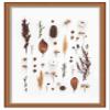 11x20 Traditional Gold 1" Deep Shadow Box Frame - Interior Size 11x20 by 1 Inch Deep - Made to Display Items Up to 1 Inch Deep Includes Shatter Resistant Acrylic Front, Backing, Hardware view 1