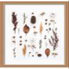 11x11 Gold Shadowbox Frame - Shadow Box Frame Interior Size 11x11 by 1.25 Inches Deep - Gold Frame Made to Display Items Up to 1.25 Inches Deep Includes Shatter Resistant Acrylic, Backing, Hardware view 1
