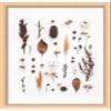 12x16 Gold Shadowbox Frame - Shadow Box Frame Interior Size 12x16 by 1.25 Inches Deep - Gold Frame Made to Display Items Up to 1.25 Inches Deep Includes Shatter Resistant Acrylic, Backing, Hardware view 4