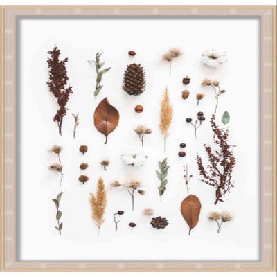 Poster Palooza 18x24 Contemporary Silver Shadow Box Frame - Interior Size 18x24 by 1 Inch Deep - Frame Is Made to Display Items Up To 1 Inch Deep Includes Shatter Resistant Acrylic, Backing, Hardware