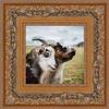 Poster Palooza 12x12 Ornate Antique Gold Complete Wood Square Picture Frame with UV Acrylic Plexiglass, Foam Board Backing & Hardware Included view 4