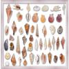 11x14 Silver Shadowbox Frame - Shadow Box Frame Interior Size 11x14 by 2 Inches Deep - Silver Frame Made to Display Items Up to 1.75 Inches Deep Includes Shatter Resistant Acrylic, Backing, Hardware view 3