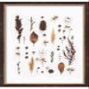 11x14 Walnut Shadowbox Frame - Shadow Box Frame Interior Size 11x14 by 2 Inches Deep - Walnut Frame is Made to Display Items Up to 1.75 Inches Deep! Includes Shatter Proof Acrylic, Backing, Hardware view 4