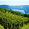 Posterazzi PPI54815 Grape Vineyards in Finger Lake Region New York State USA Poster Print, 6 x 18 view 1