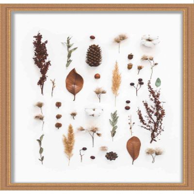 11x17 Gold Shadowbox Frame - Shadow Box Frame Interior Size 11x17 by 1.25 Inches Deep - Gold Frame Made to Display Items Up to 1.25 Inches Deep Includes Shatter Resistant Acrylic, Backing, Hardware
