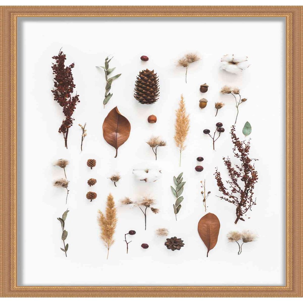 11x17 Gold Shadowbox Frame - Shadow Box Frame Interior Size 11x17 by 1.25 Inches Deep - Gold Frame Made to Display Items Up to 1.25 Inches Deep Includes Shatter Resistant Acrylic, Backing, Hardware