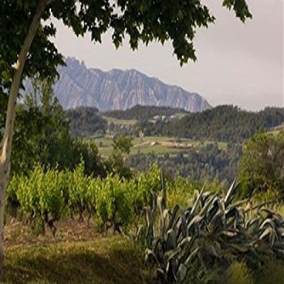 Vineyards and Cactus with Montserrat Mountain Catalunya Spain Poster Print by Janis Miglavs (24 x 15)