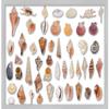 10x12 Silver Shadowbox Frame - Shadow Box Frame Interior Size 10x12 x 1.5 Inches Deep - Silver Frame Made to Display Items Up to 1.5 Inches Deep Includes Shatter Resistant Acrylic, Backing, Hardware view 3