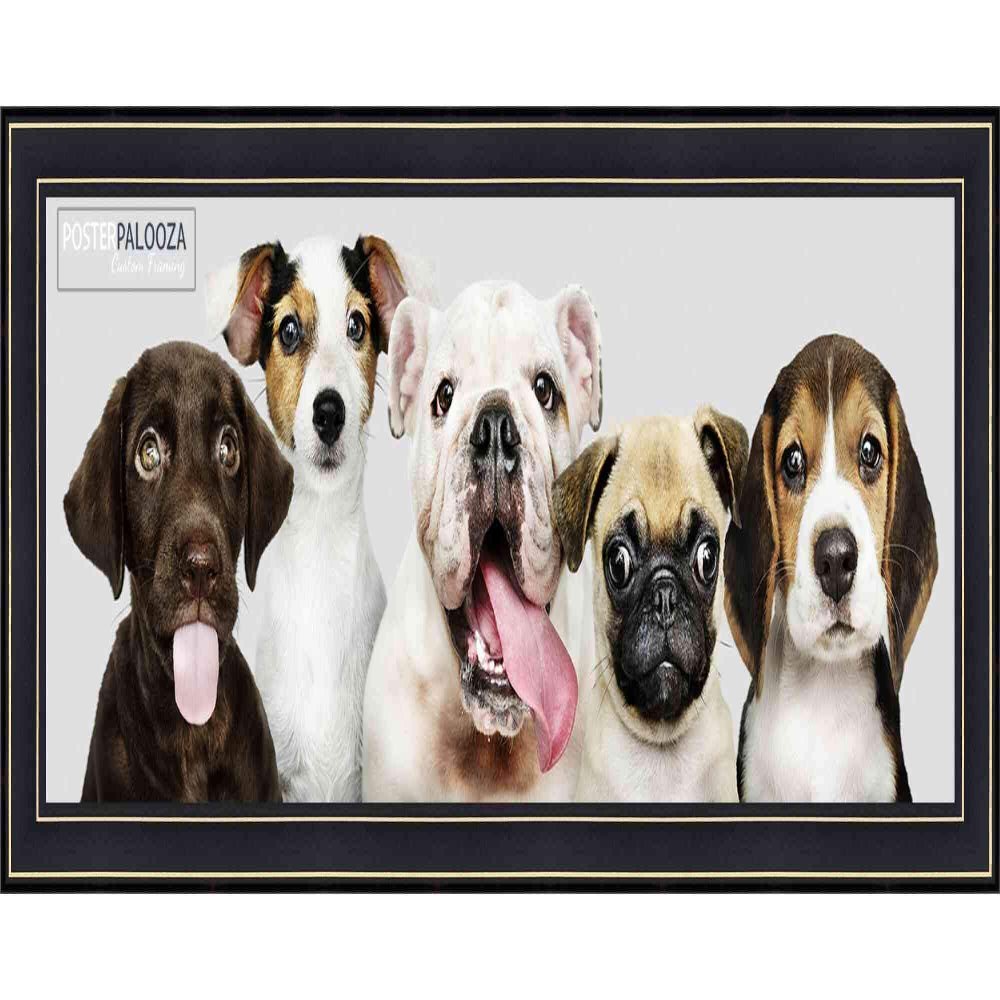 Poster Palooza Panoramic or Puzzle Contemporary Black Complete Wood Panoramic Frame with UV Acrylic Plexiglass, Foam Board Backing & Hardware Included