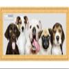 Poster Palooza Panoramic or Puzzle Traditional Gold Complete Wood Panoramic Frame with UV Acrylic Plexiglass, Foam Board Backing & Hardware Included view 1