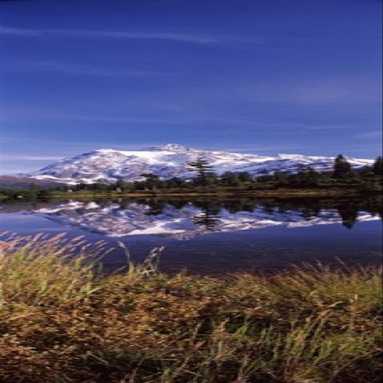 Posterazzi PPI124150S Reflection of Mountains Mt Shuksan Picture Lake North Cascades National Park Washington State USA Poster Print, 18 x 6, Varies
