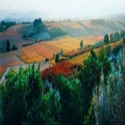 Posterazzi PPI137758L Vineyards in The Late Afternoon Autumn Light Provence-Alpes-Cote d'Azur France Poster Print, 36 x 13