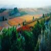 Posterazzi PPI137758L Vineyards in The Late Afternoon Autumn Light Provence-Alpes-Cote d'Azur France Poster Print, 36 x 13 view 1