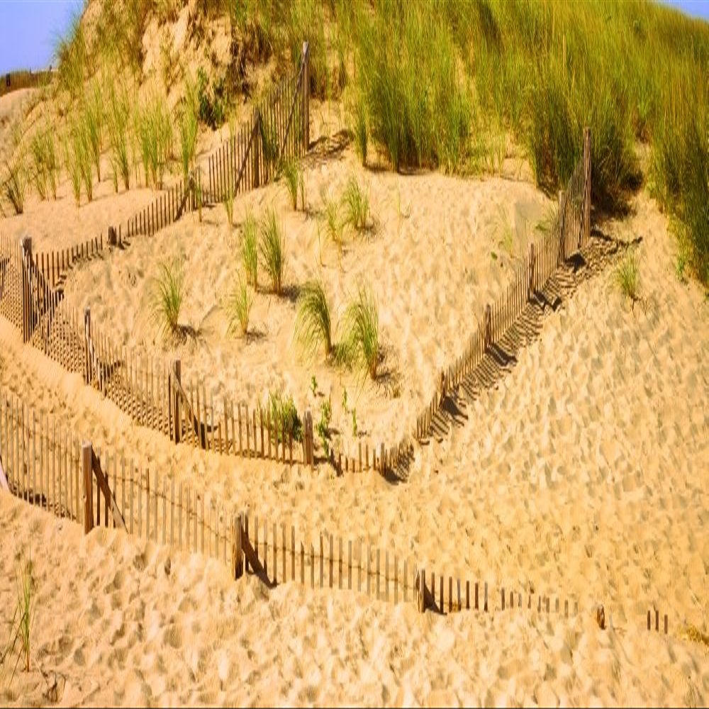 Posterazzi PPI158210LARGE Fence on The Beach Cape Cod Massachusetts USA Poster Print, 12 x 36