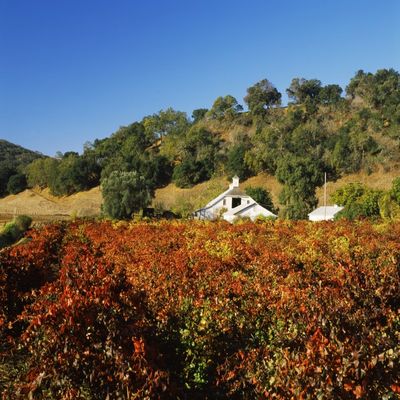 Posterazzi PPI148393L Winery in a vineyard Pagani Ranch Sonoma California USA Poster Print, 28 x 22