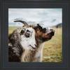 Poster Palooza 27x27 Contemporary Black Complete Wood Square Picture Frame with UV Acrylic Plexiglass, Foam Board Backing & Hardware Included view 4