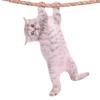 Thumbs Up Ride with Hanging Cat Window Sticker Cat Car Window Sticker view 1