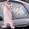 Thumbs Up Ride with Hanging Cat Window Sticker Cat Car Window Sticker view 2
