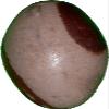 StarStuff.Rocks Shivalingum Stones Selection - Sacred Stone of the Ancient and Modern Worlds. from India (7") view 1