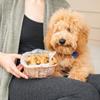 Nordic Ware Puppy Love Dog Treat, Mix, Brown view 4