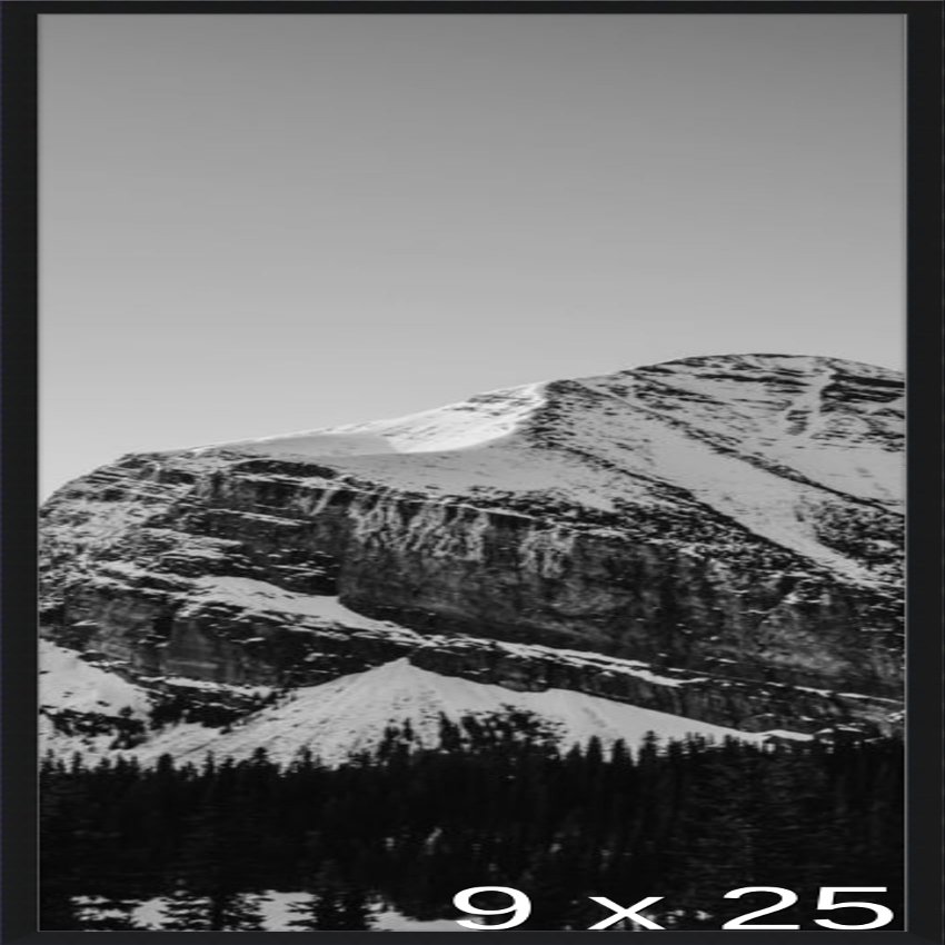 Frame It Easy 9 3/8 x 25 Satin Black Metal Frame (Ashford) 9.4x25 inches