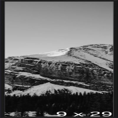 Frame It Easy 9 x 29 1/4 Satin Black Metal Frame (Ashford) 9x29.25 inches