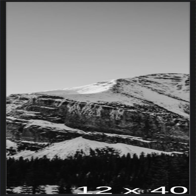 Frame It Easy 12 x 40 1/4 Satin Black Metal Frame (Ashford) 12x40.25 inches