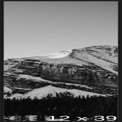 Frame It Easy 12 3/8 x 39 7/8 Satin Black Metal Frame (Ashford) 12.4x39.9 inches