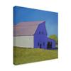 Trademark Fine Art WAG04880-C1818GG Barn Over The Hill by Carol Young, 18x18, view 2