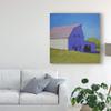 Trademark Fine Art WAG04880-C1818GG Barn Over The Hill by Carol Young, 18x18, view 3