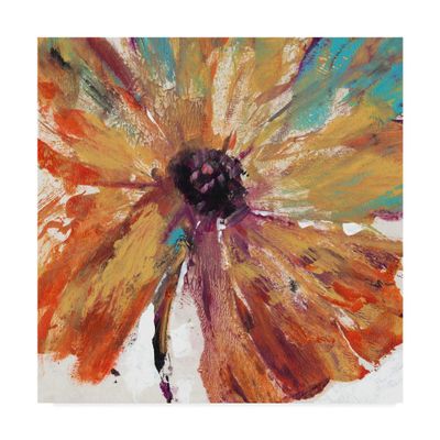 Trademark Fine Art WAG05094-C1818GG Orange Splash I by Tim Otoole, 18x18,
