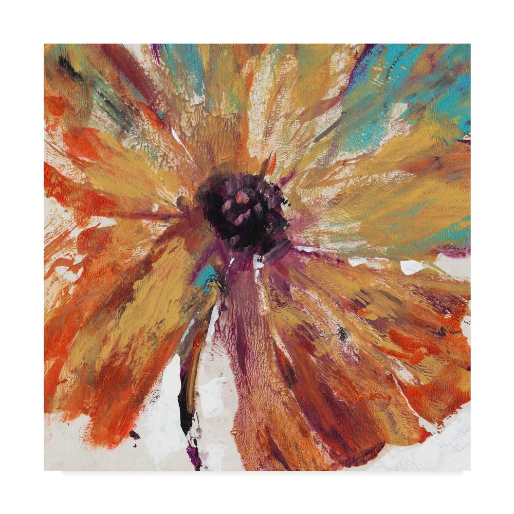 Trademark Fine Art WAG05094-C1818GG Orange Splash I by Tim Otoole, 18x18,