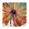 Trademark Fine Art WAG05094-C1818GG Orange Splash I by Tim Otoole, 18x18, view 1
