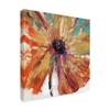 Trademark Fine Art WAG05094-C1818GG Orange Splash I by Tim Otoole, 18x18, view 2