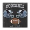 Trademark Fine Art WAG04777-C1818GG Sporting History II by Naomi McCavitt, 18x18, view 1
